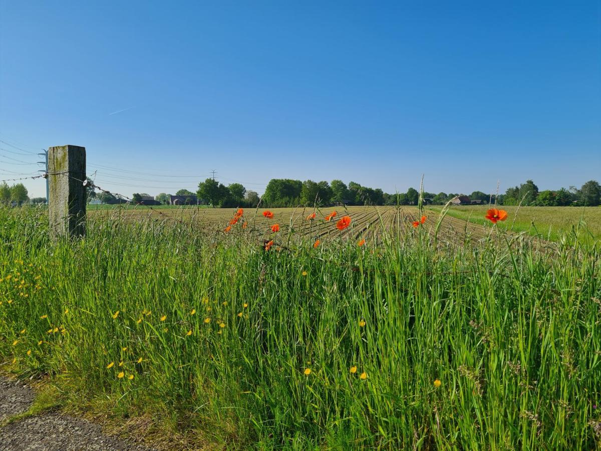 Tiny House In De Achterhoek Villa Voorst  ภายนอก รูปภาพ
